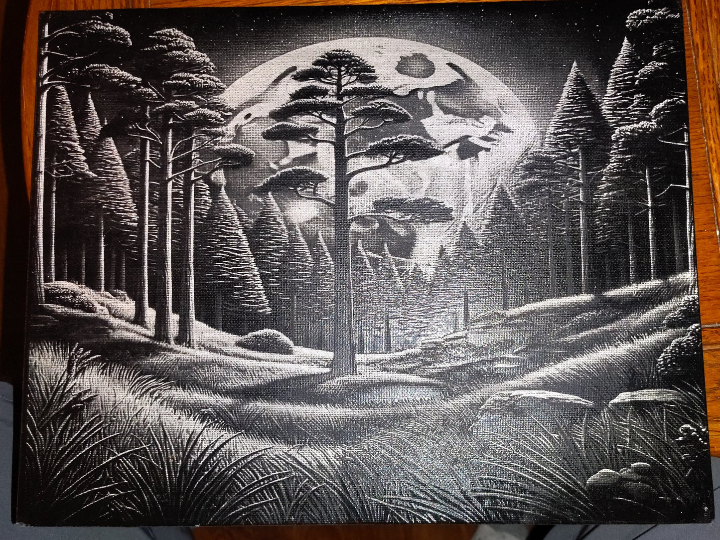 11x14 Painted Canvas (Multiple Pictures)