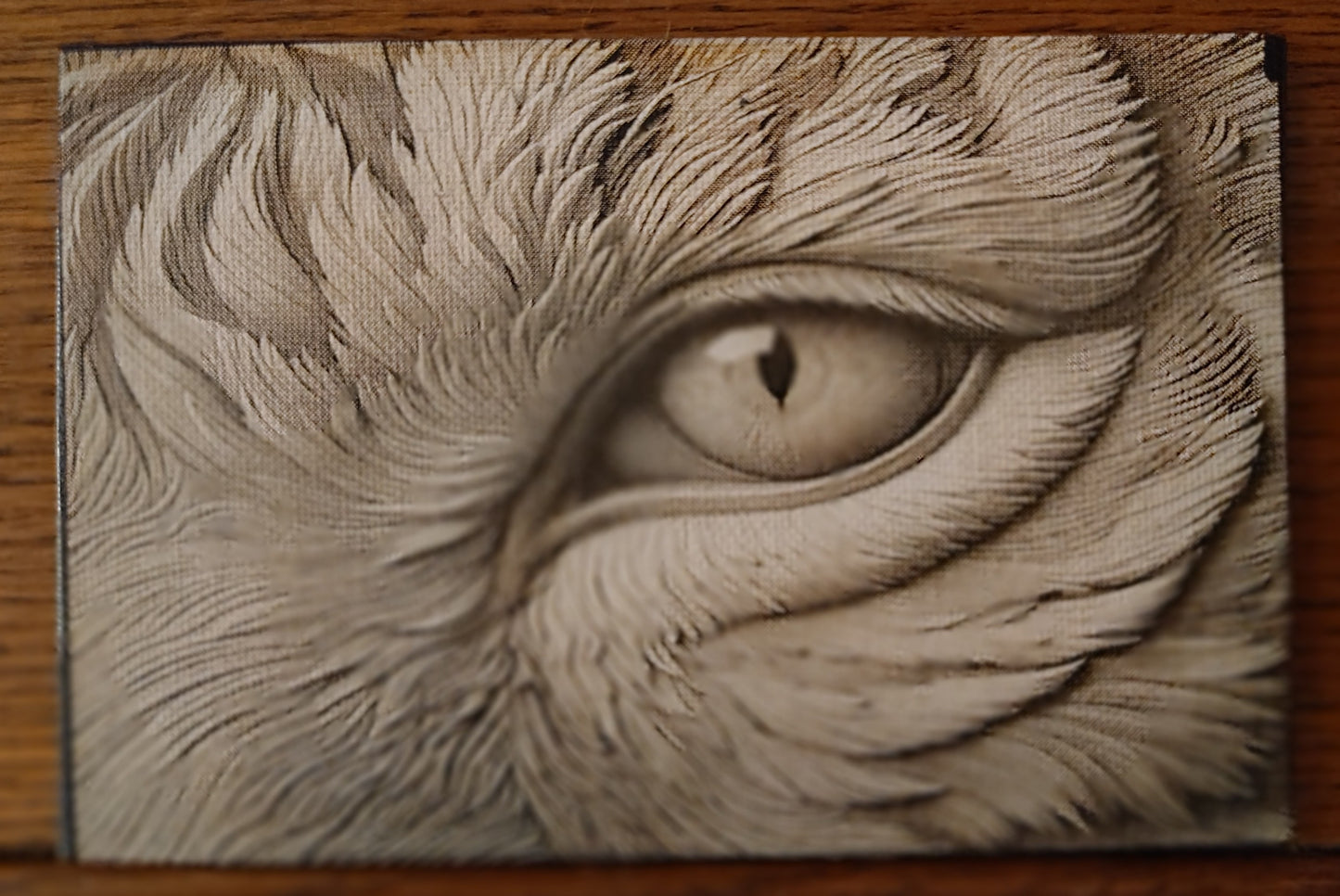 4x6 Painted Canvas (multiple Pictures)
