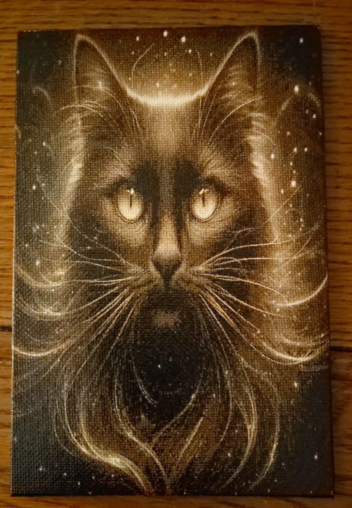 4x6 Painted Canvas (multiple Pictures)