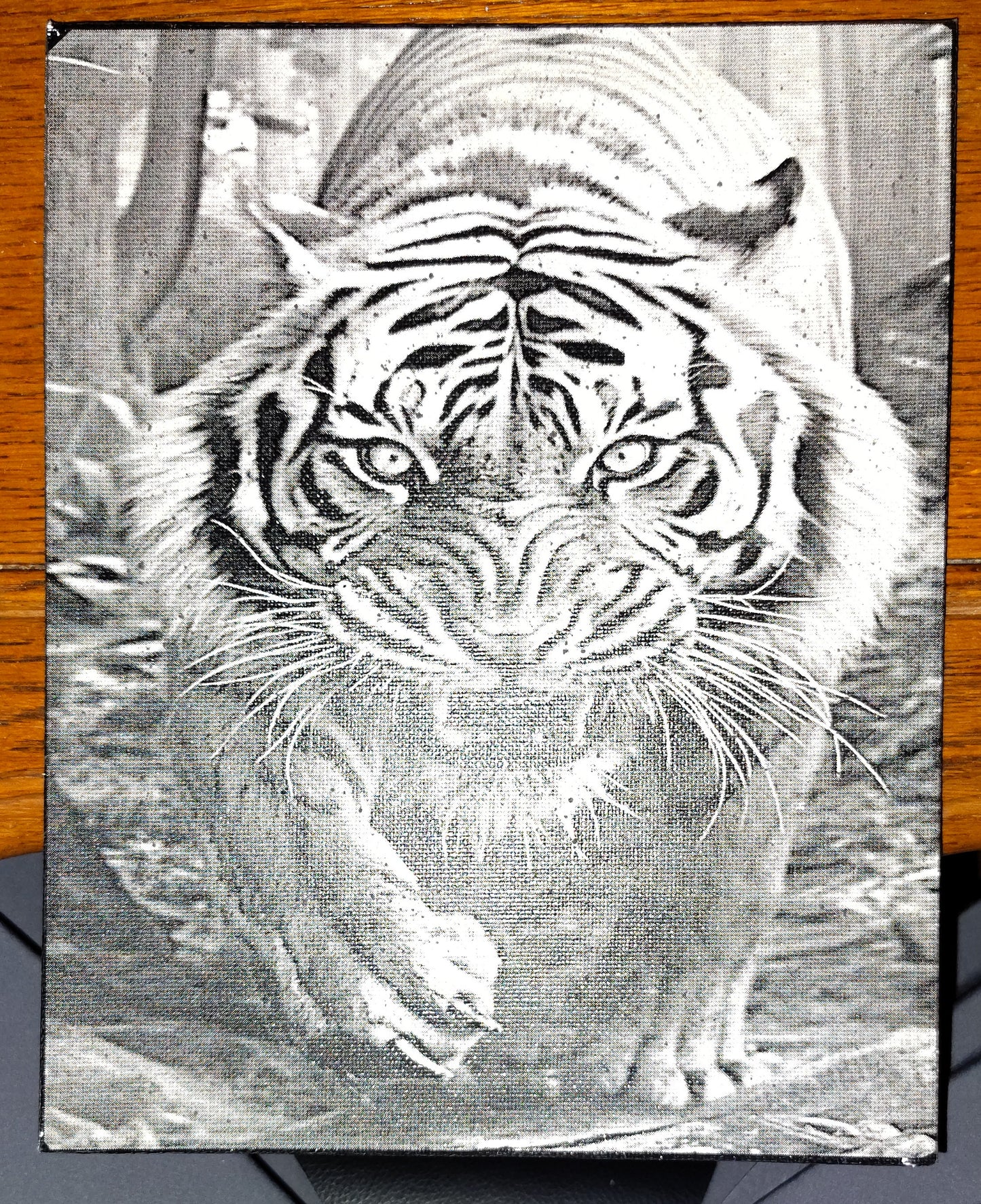 8x10 Painted Canvas (Multiple Pictures)