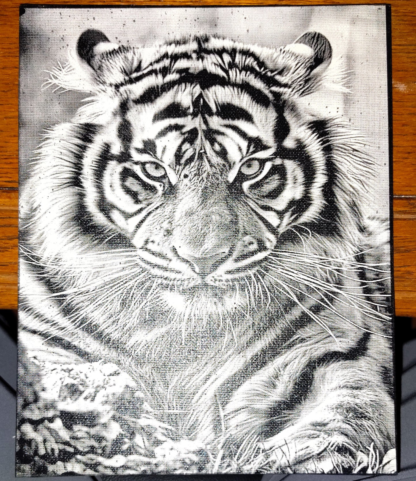8x10 Painted Canvas (Multiple Pictures)