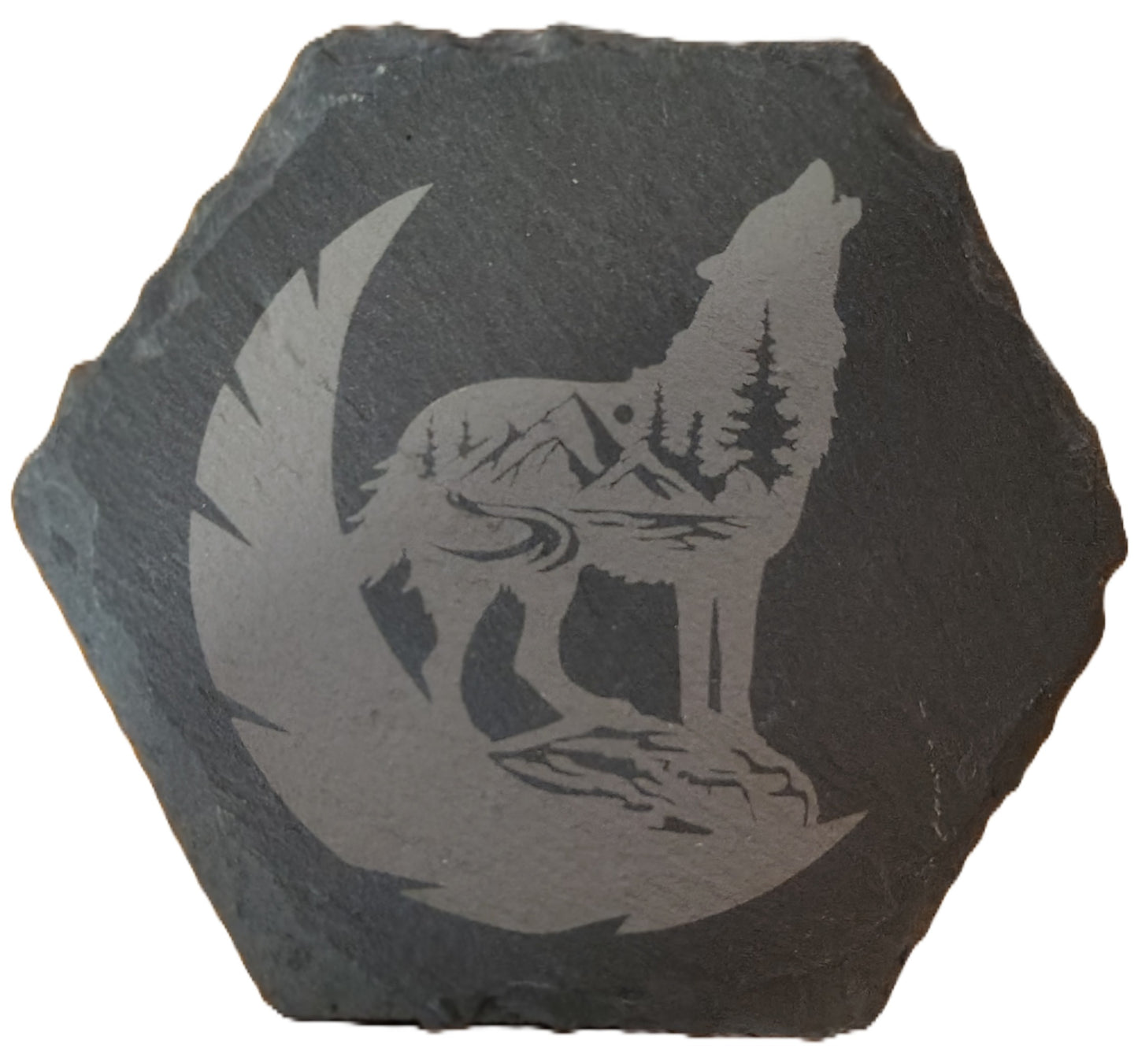 Hexagon Slate Coasters (Multiple Photos)