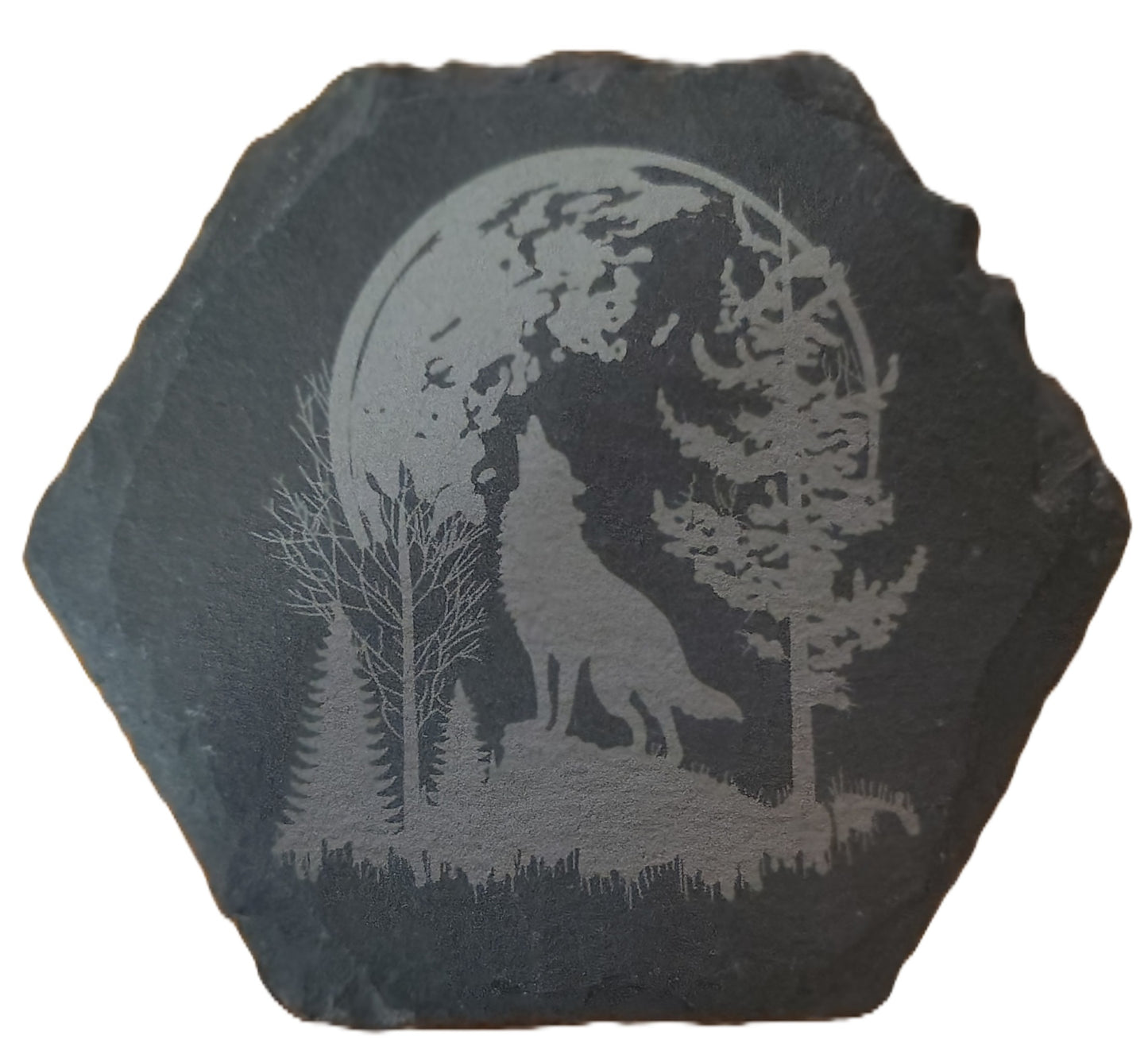 Hexagon Slate Coasters (Multiple Photos)