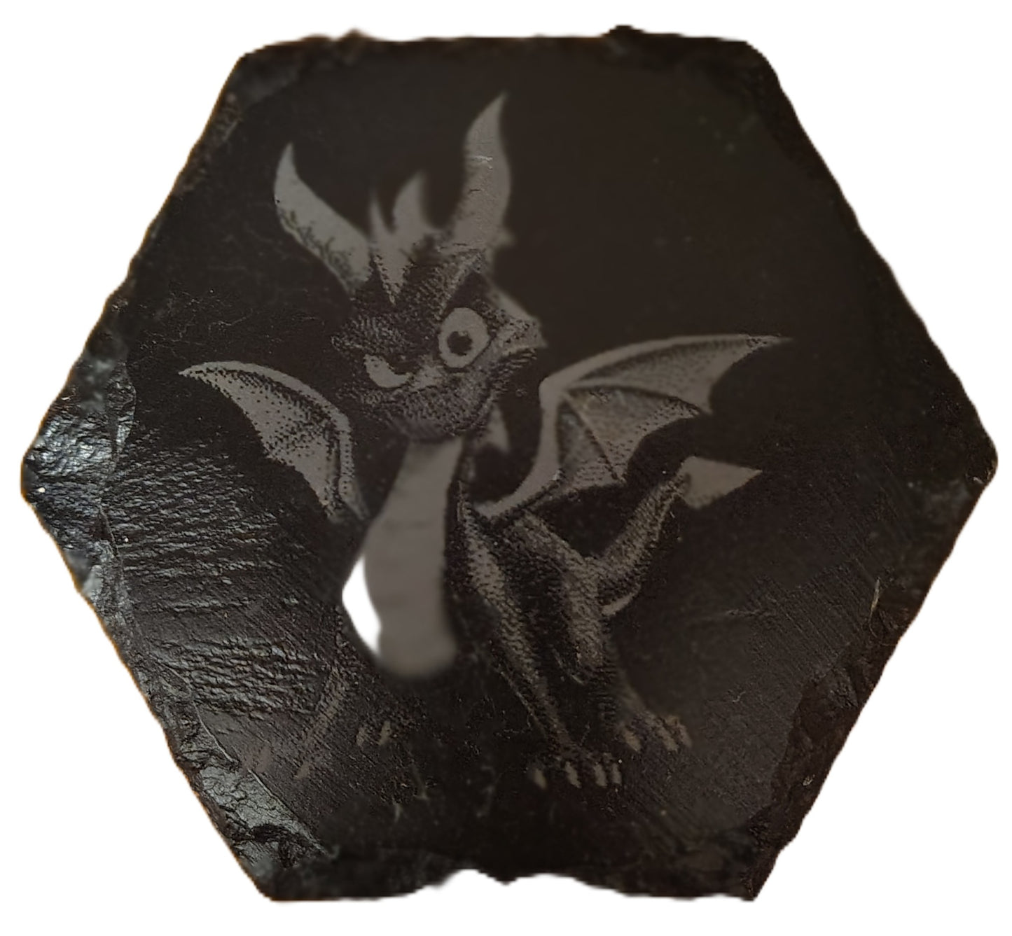Hexagon Slate Coasters (Multiple Photos)