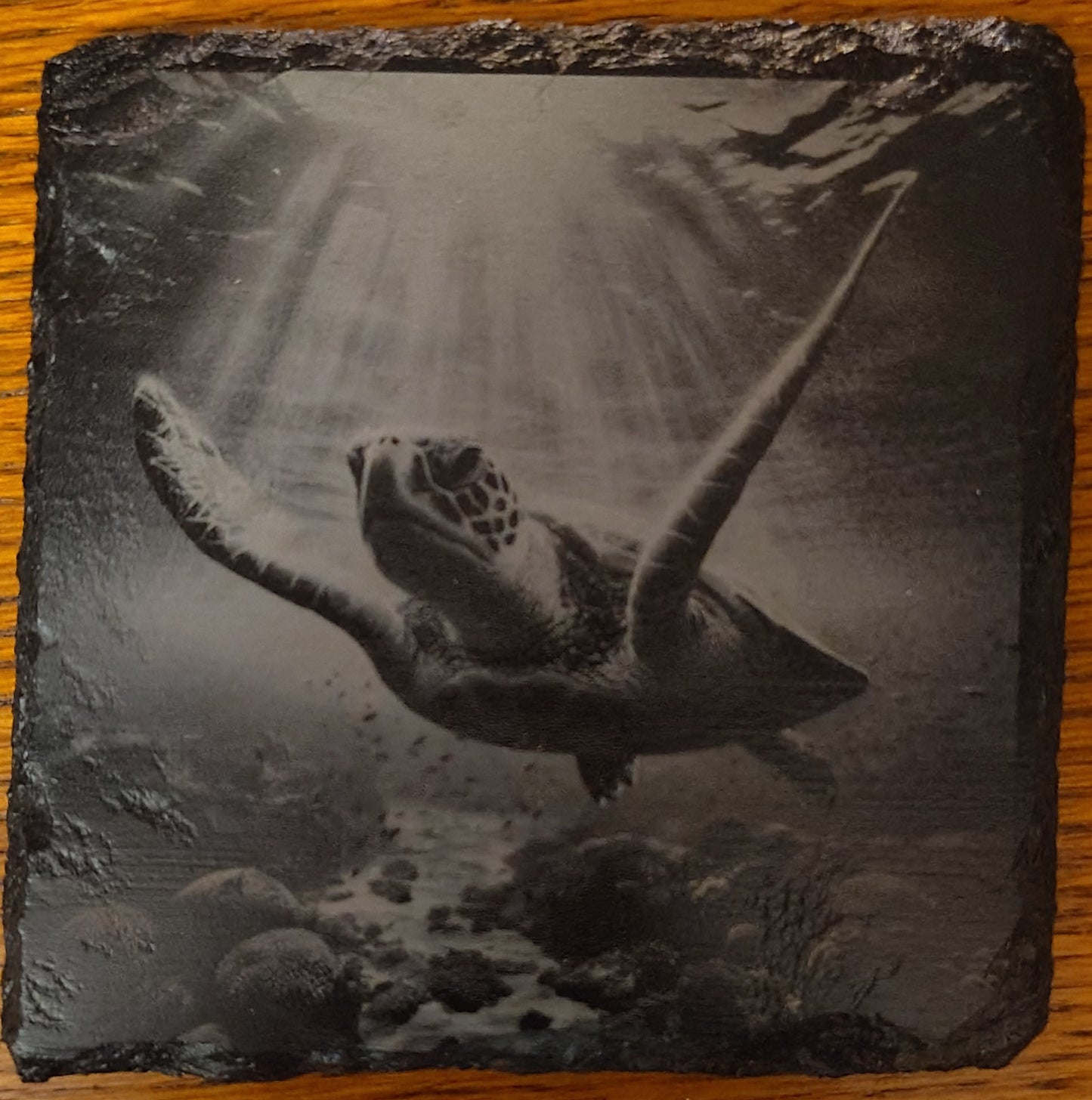 Square Slate Coasters (multiple Photos)