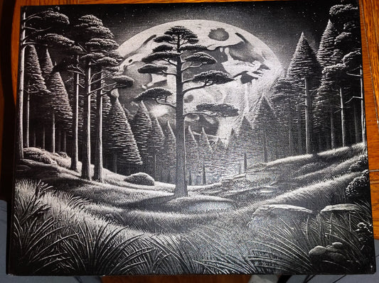 11x14 Painted Canvas (Multiple Pictures)