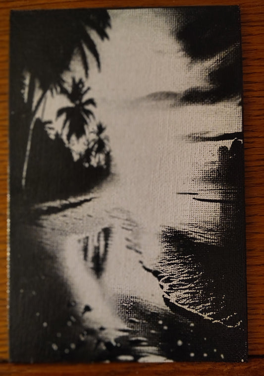 4x6 Painted Canvas (multiple Pictures)