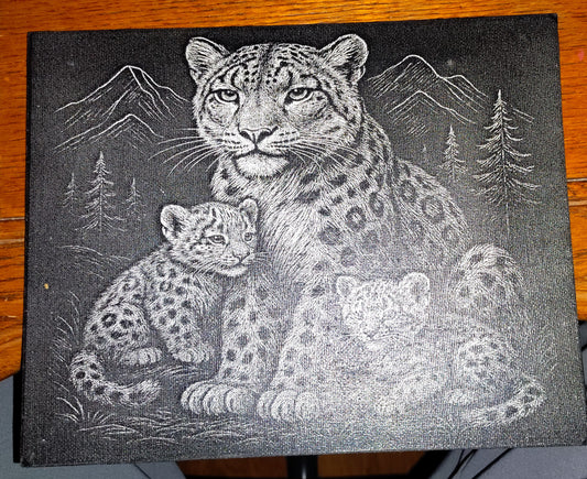 8x10 Painted Canvas (Multiple Pictures)