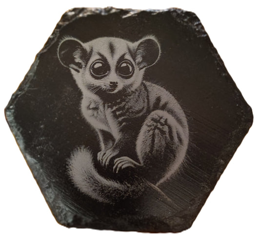 Hexagon Slate Coasters (Multiple Photos)