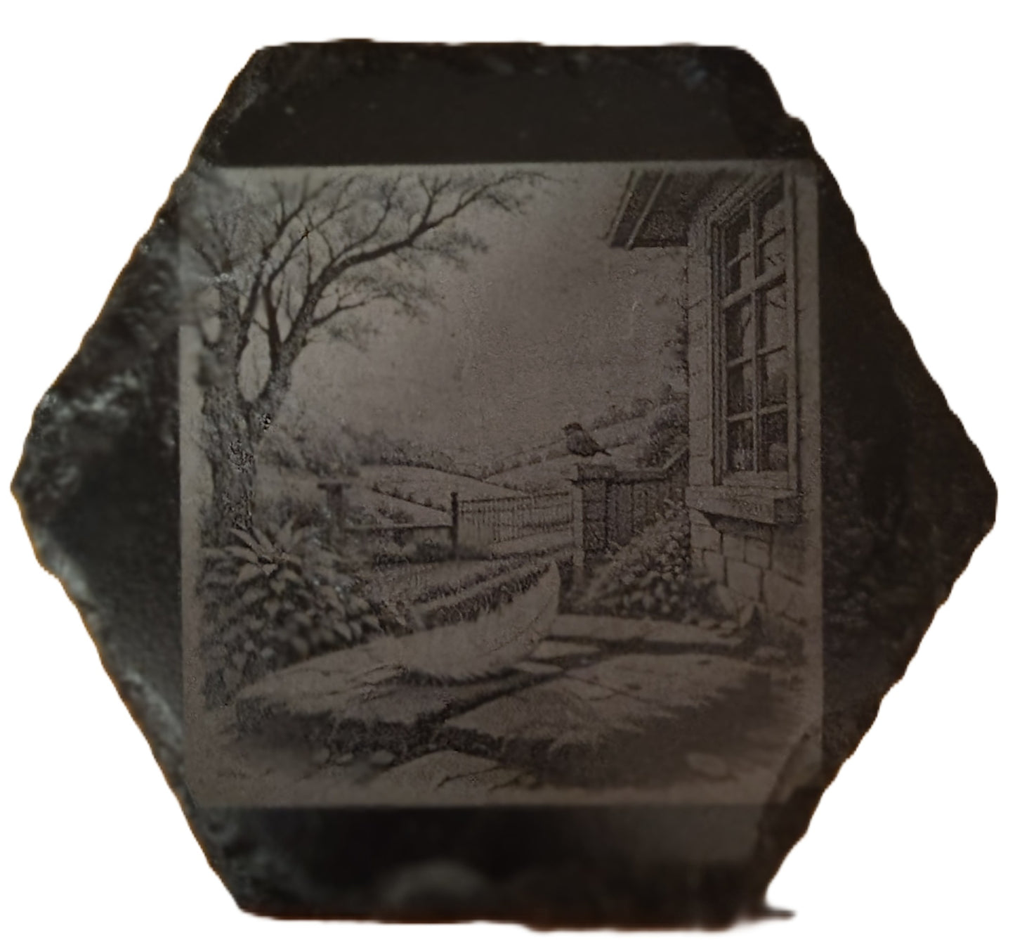Hexagon Slate Coasters (Multiple Photos)