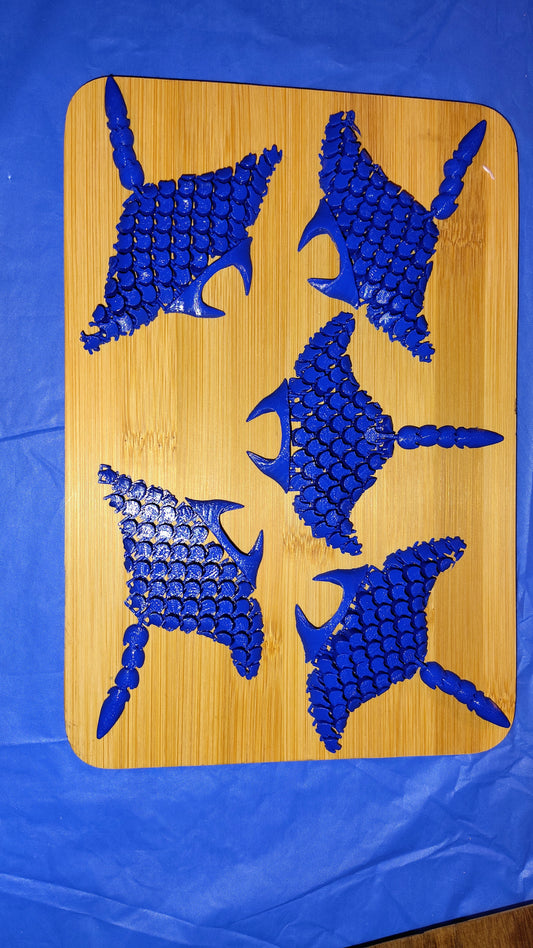 Manta Ray